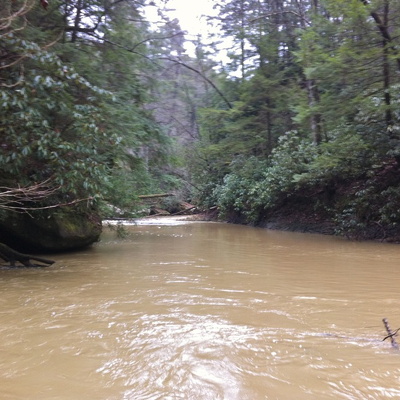 Clifty Wilderness, Swift Camp Creek and Purgatory Bend